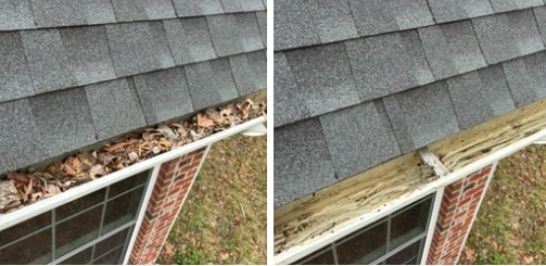 Gutter Cleaning